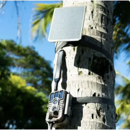 Žvėrių kamera GardePro X60P Live Max su saulės panele SP300